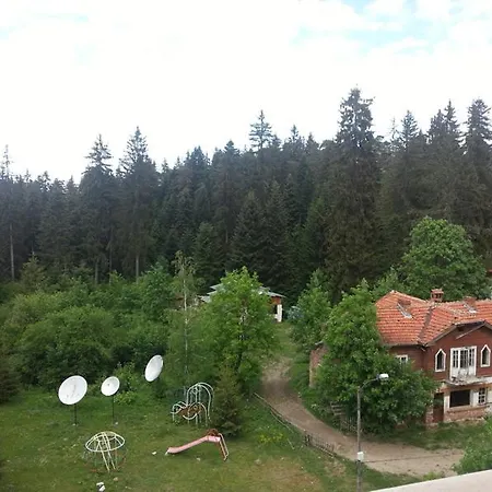 White House Hotel 4*